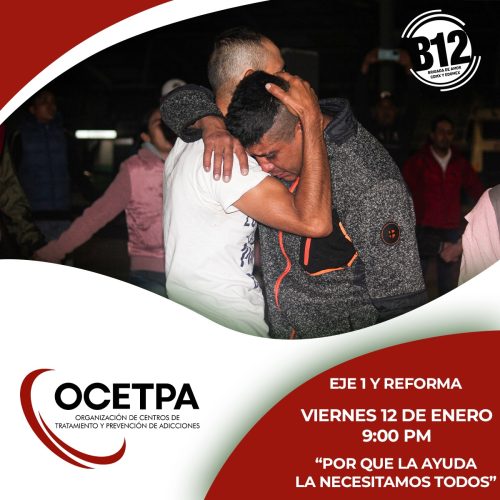 Ocetpa organizacion sin fines de lucro 17